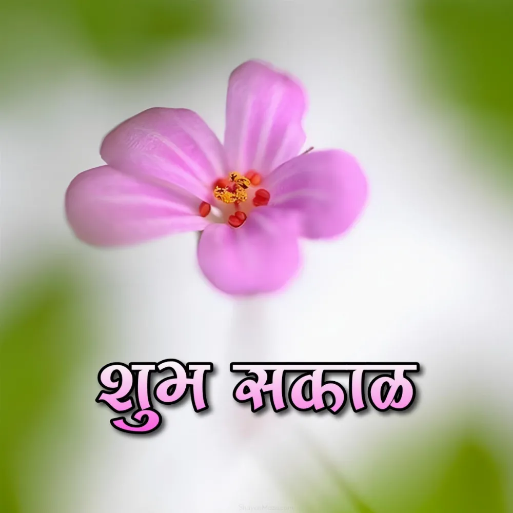 Shubh Sakal Images With Pink Flower