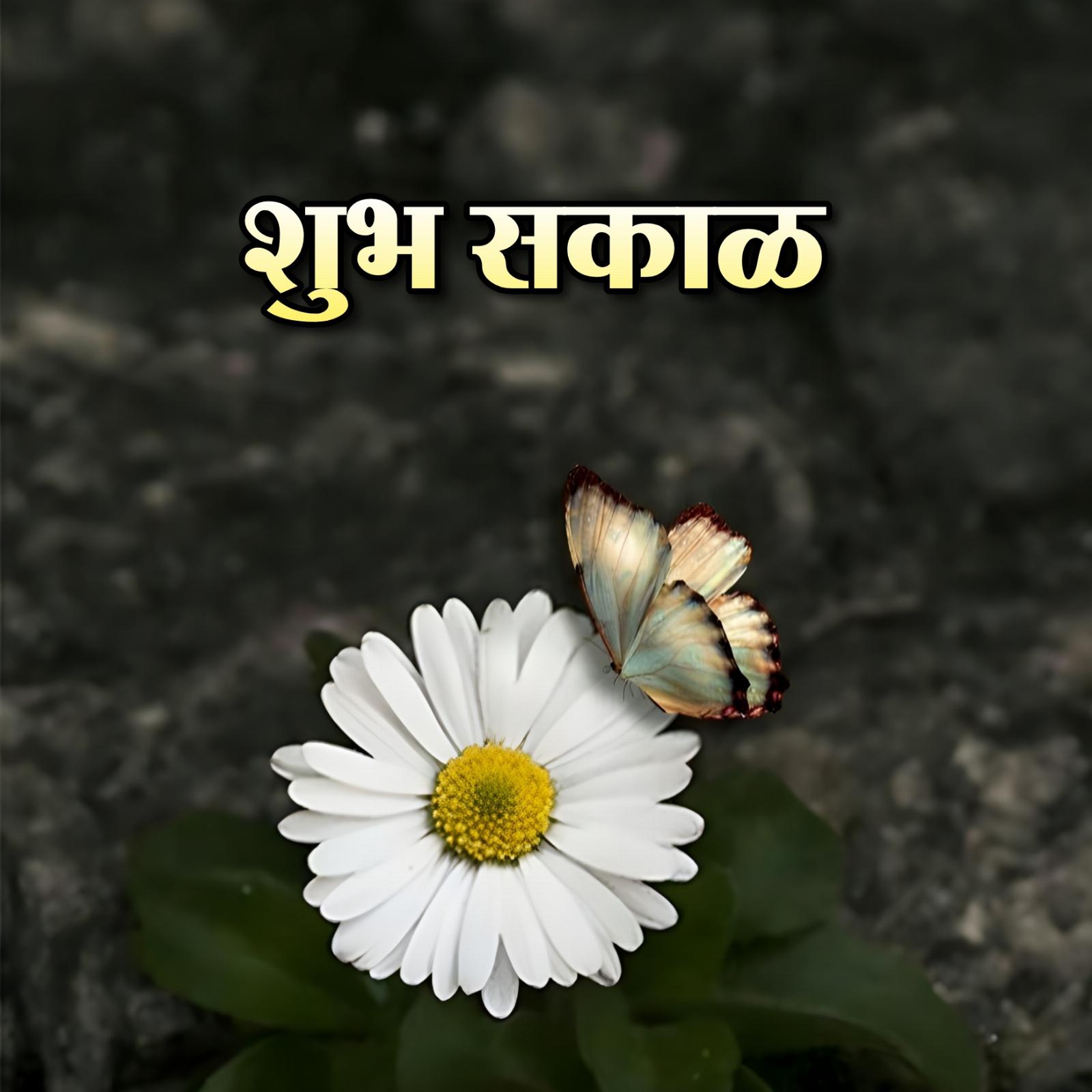 Shubh Sakal With Flower And Butterfly Images