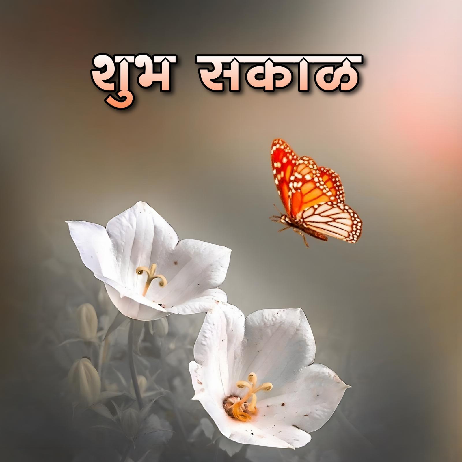 Shubh Sakal With Flower And Butterfly