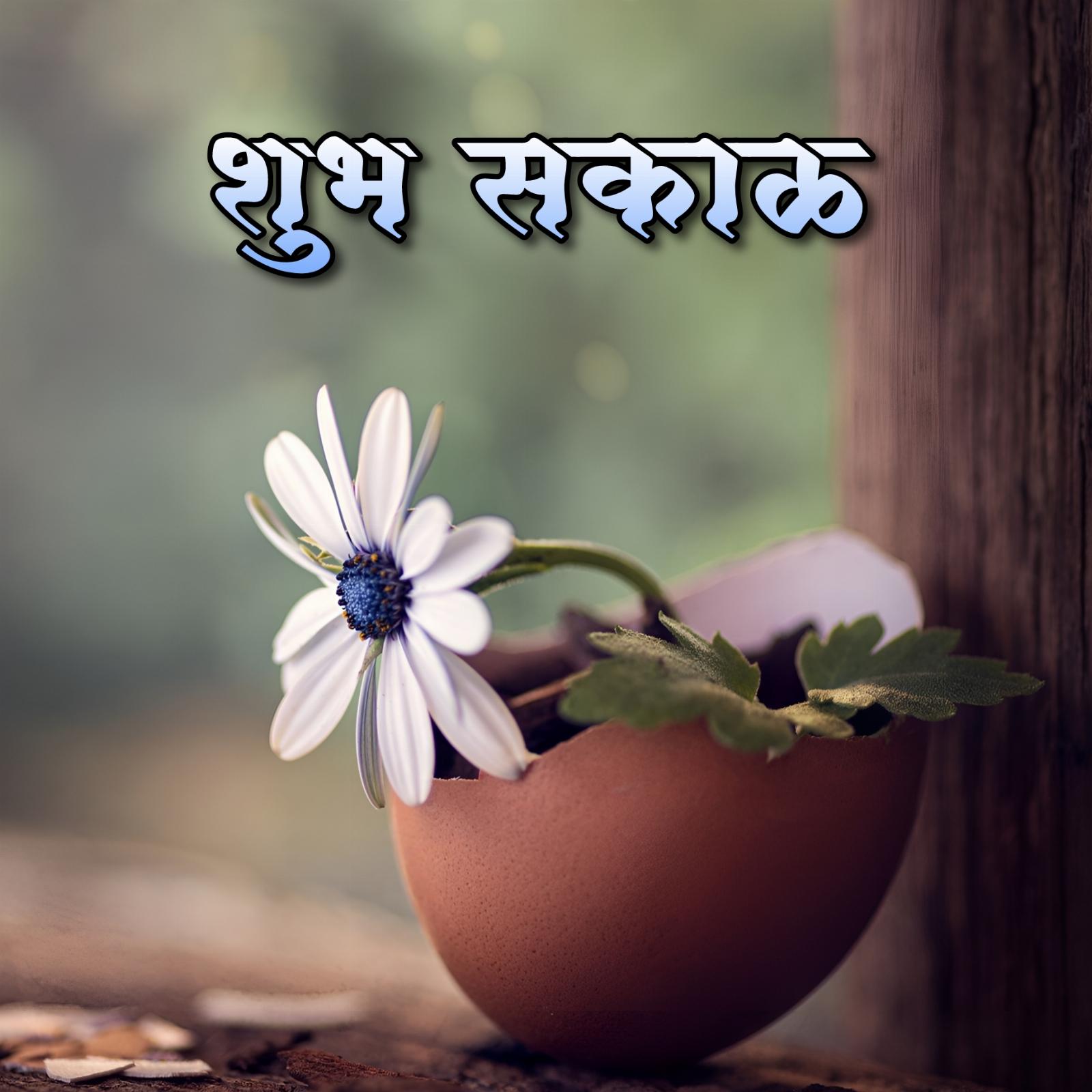 Shubh Sakal With Flower