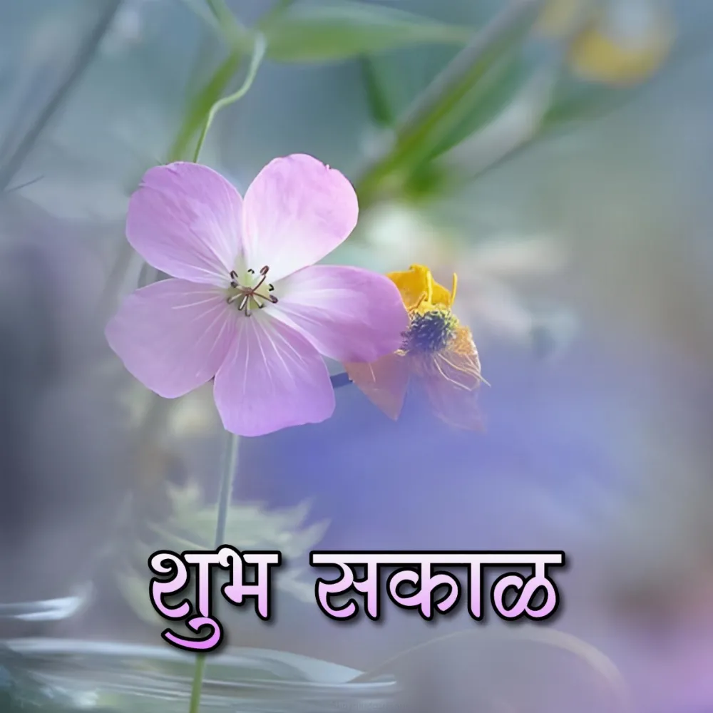 Shubh Sakal With Unique Flower