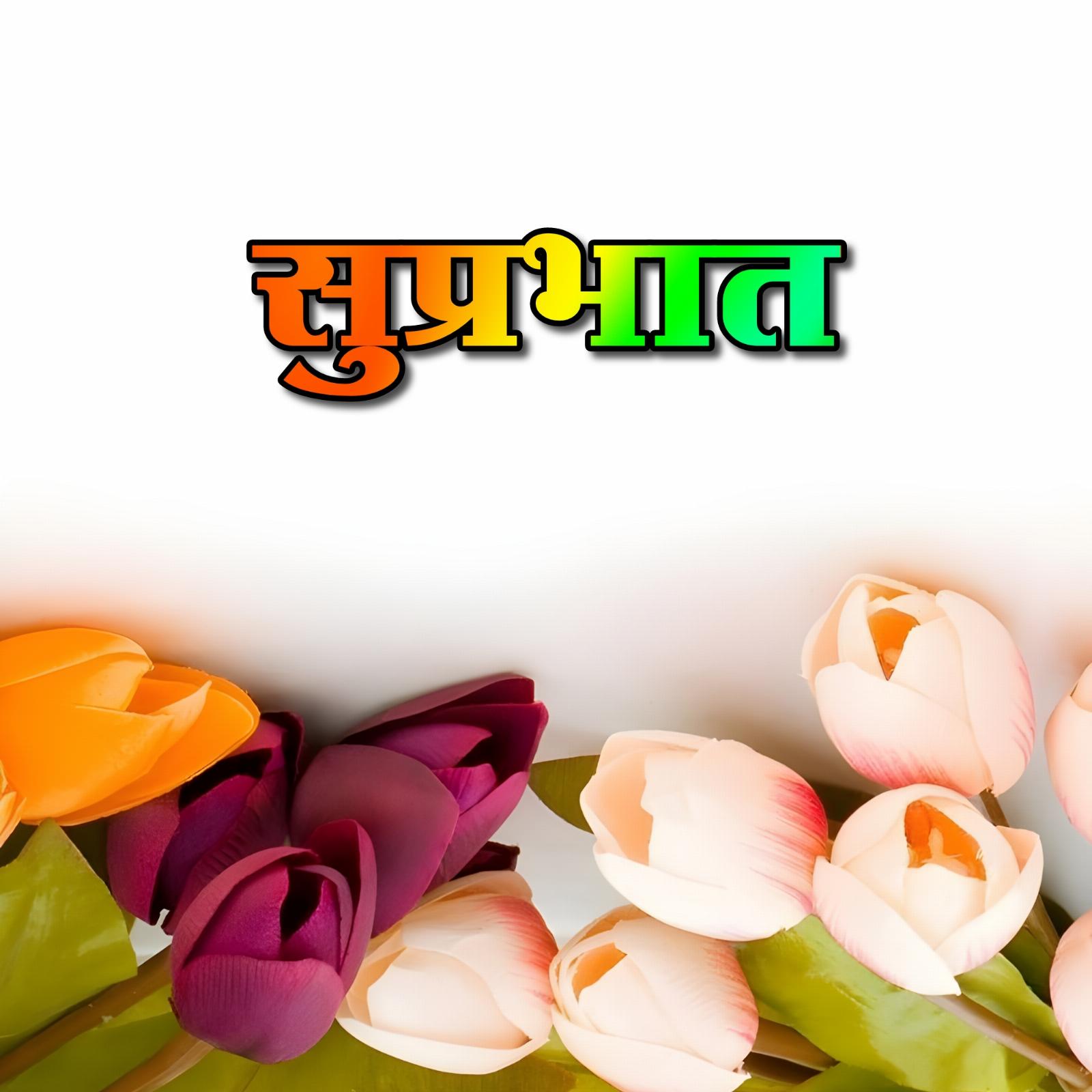 Suprabhat Flower Chitra