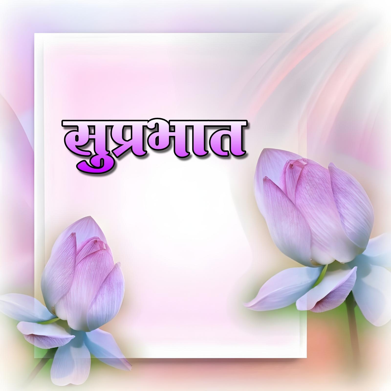 Suprabhat Flower Ka Photo