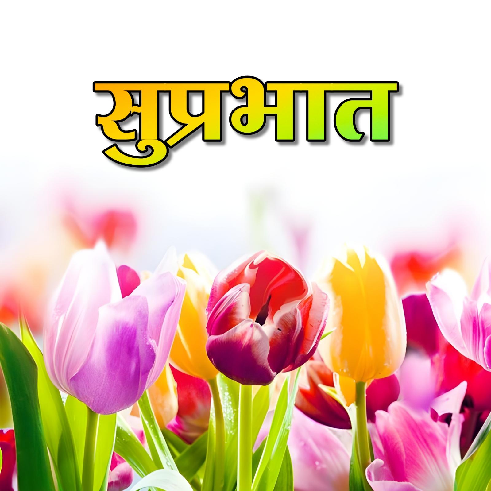 Suprabhat Flower Ki Images
