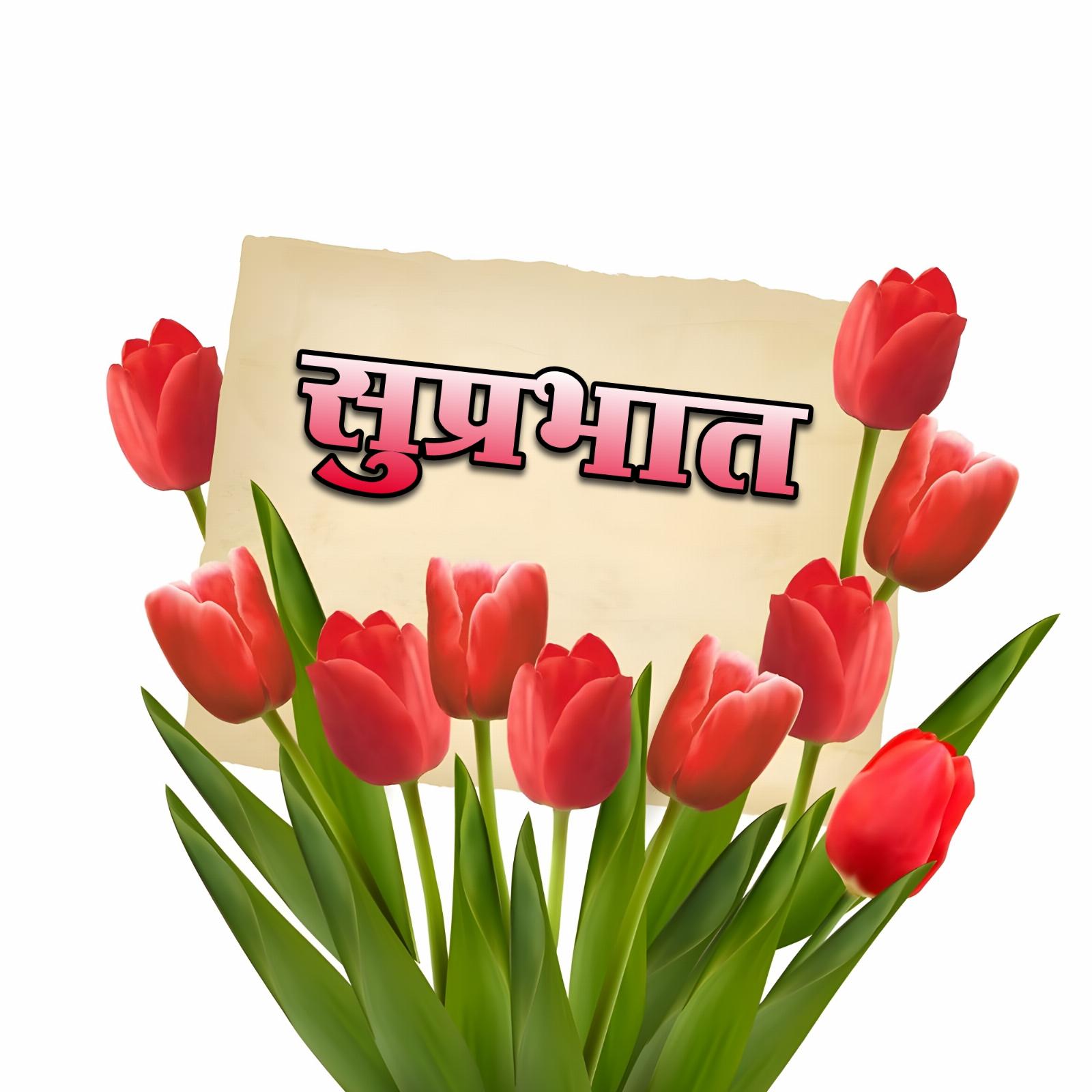 Suprabhat Flower Nice Images
