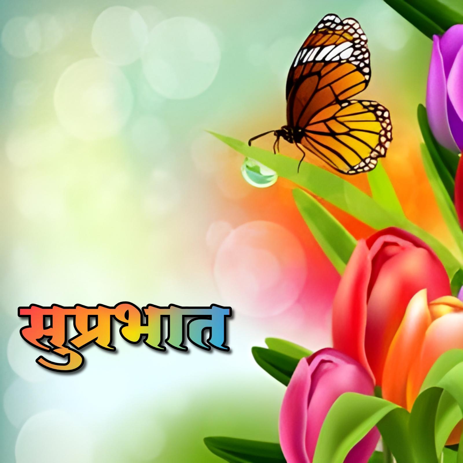 Suprabhat Flower Photo