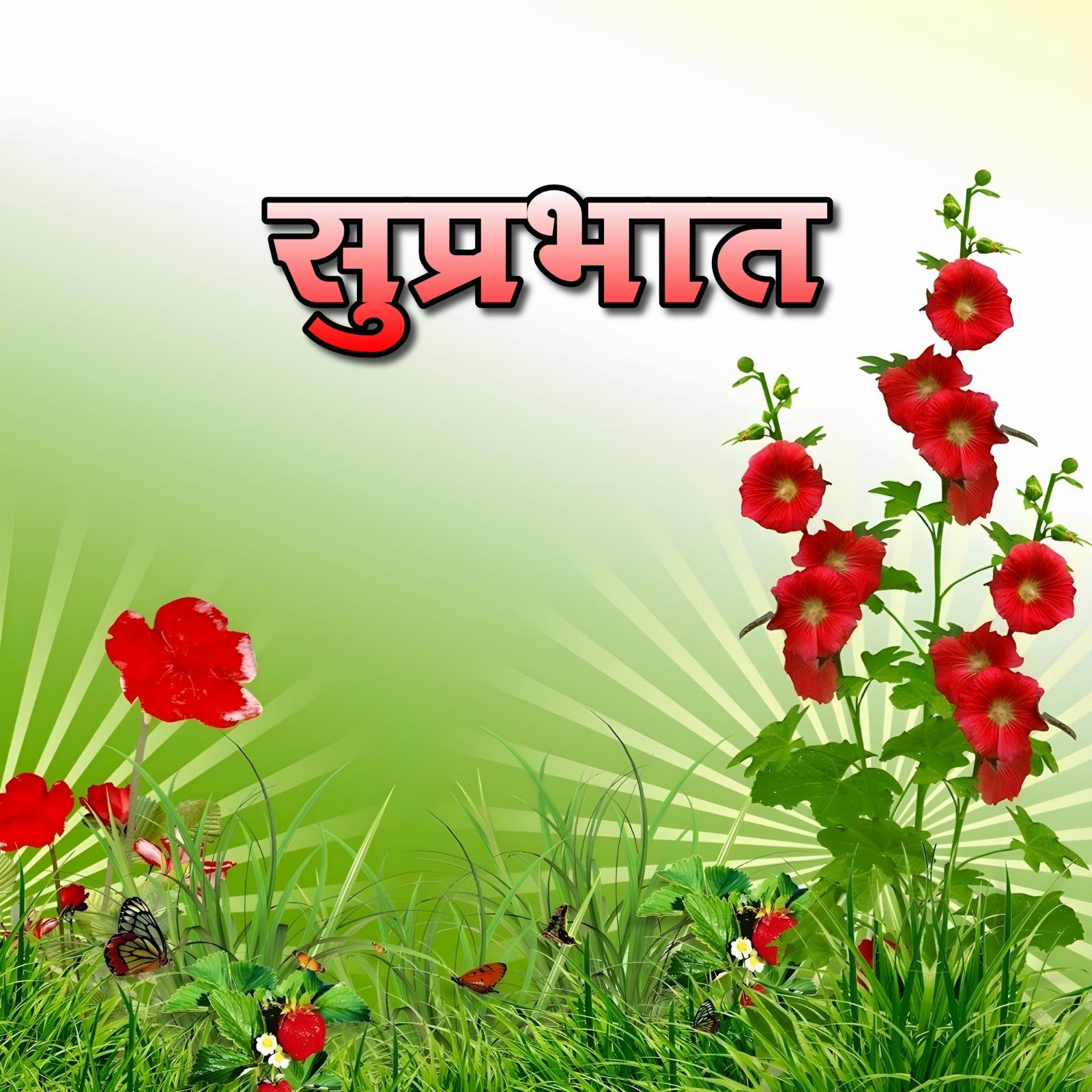 Suprabhat Flower Photos Hd