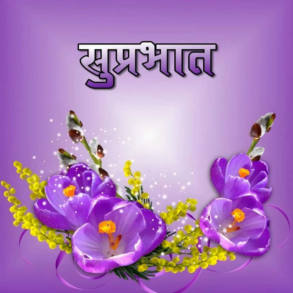 Suprabhat Images With Purple Flowers