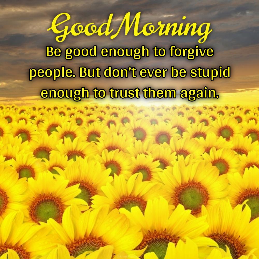 Be good enough to forgive people But dont ever be stupid enough to trust them again