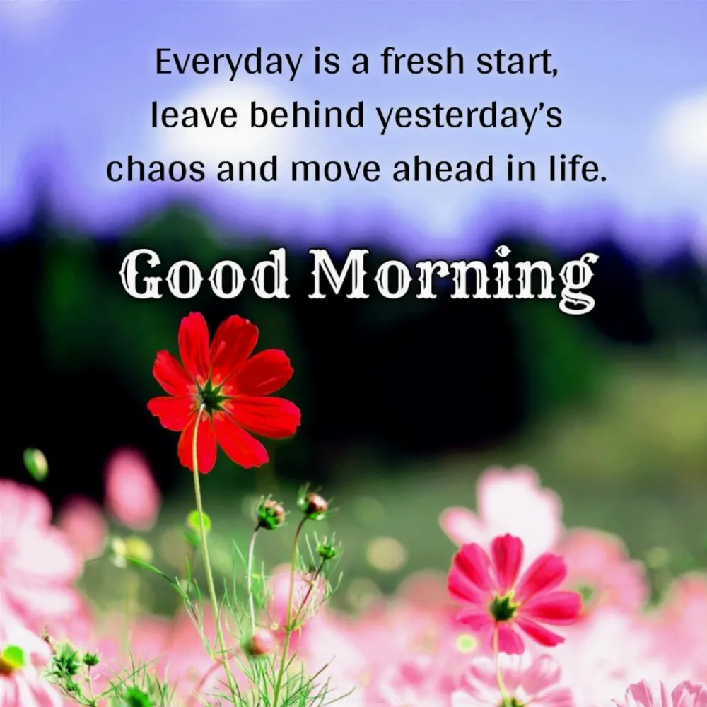 Everyday is a fresh start leave behind yesterdays chaos and move ahead in life