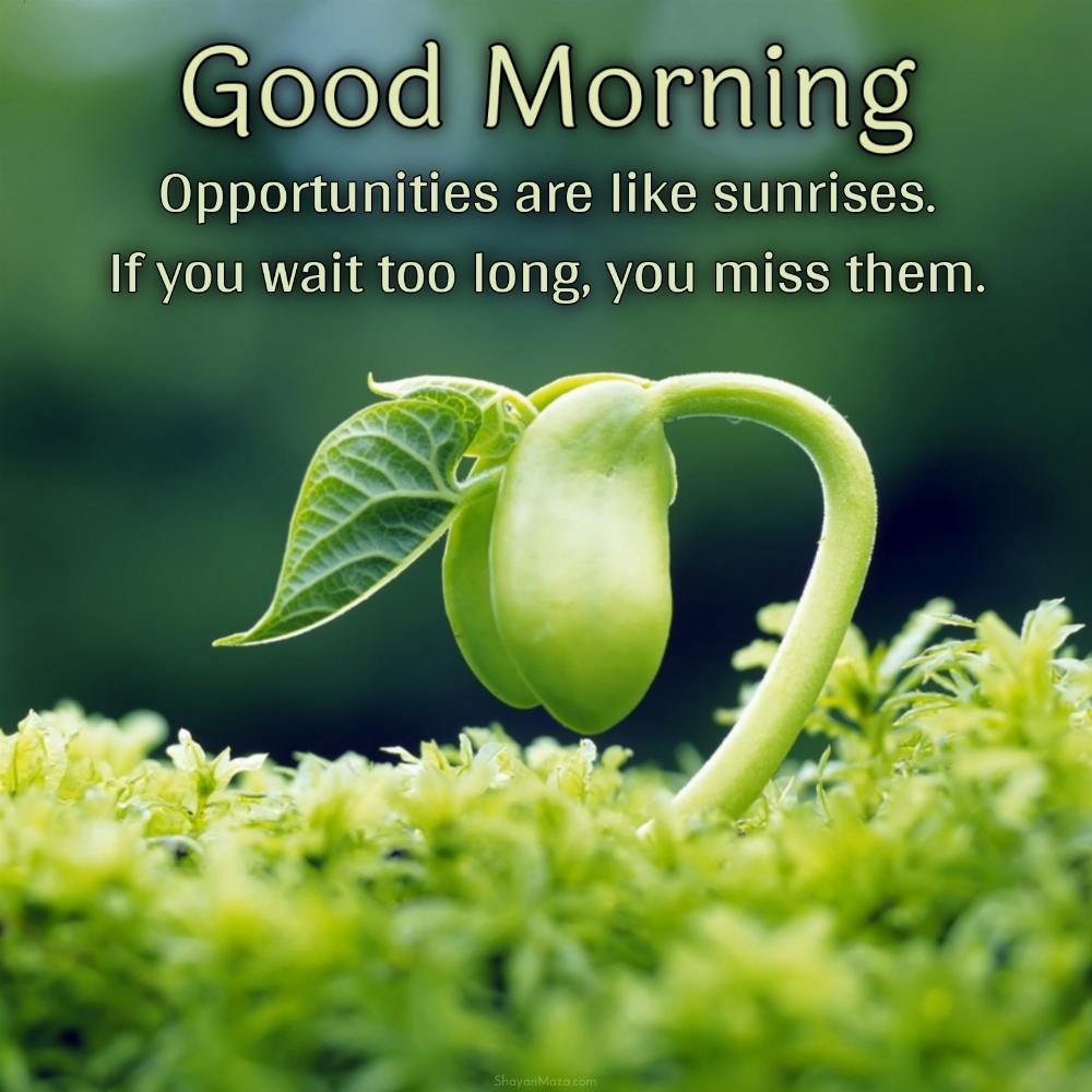 Opportunities are like sunrises If you wait too long you miss them