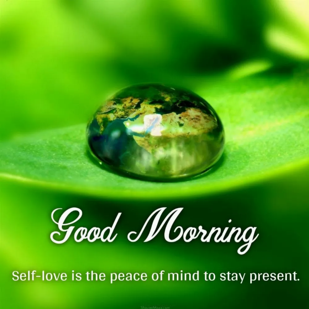 Self-love is the peace of mind to stay present