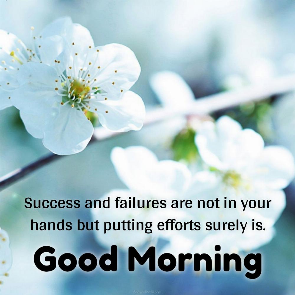 Success and failures are not in your hands but putting efforts surely is
