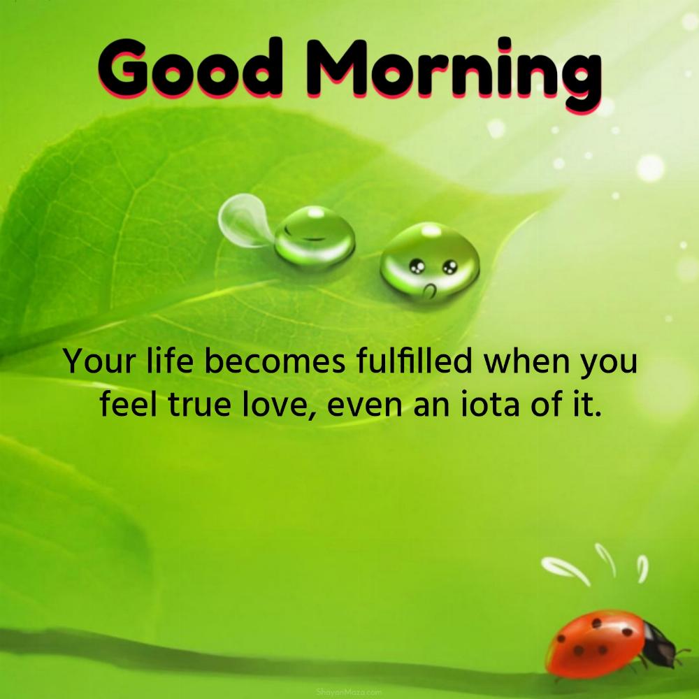 Your life becomes fulfilled when you feel true love even an iota of it