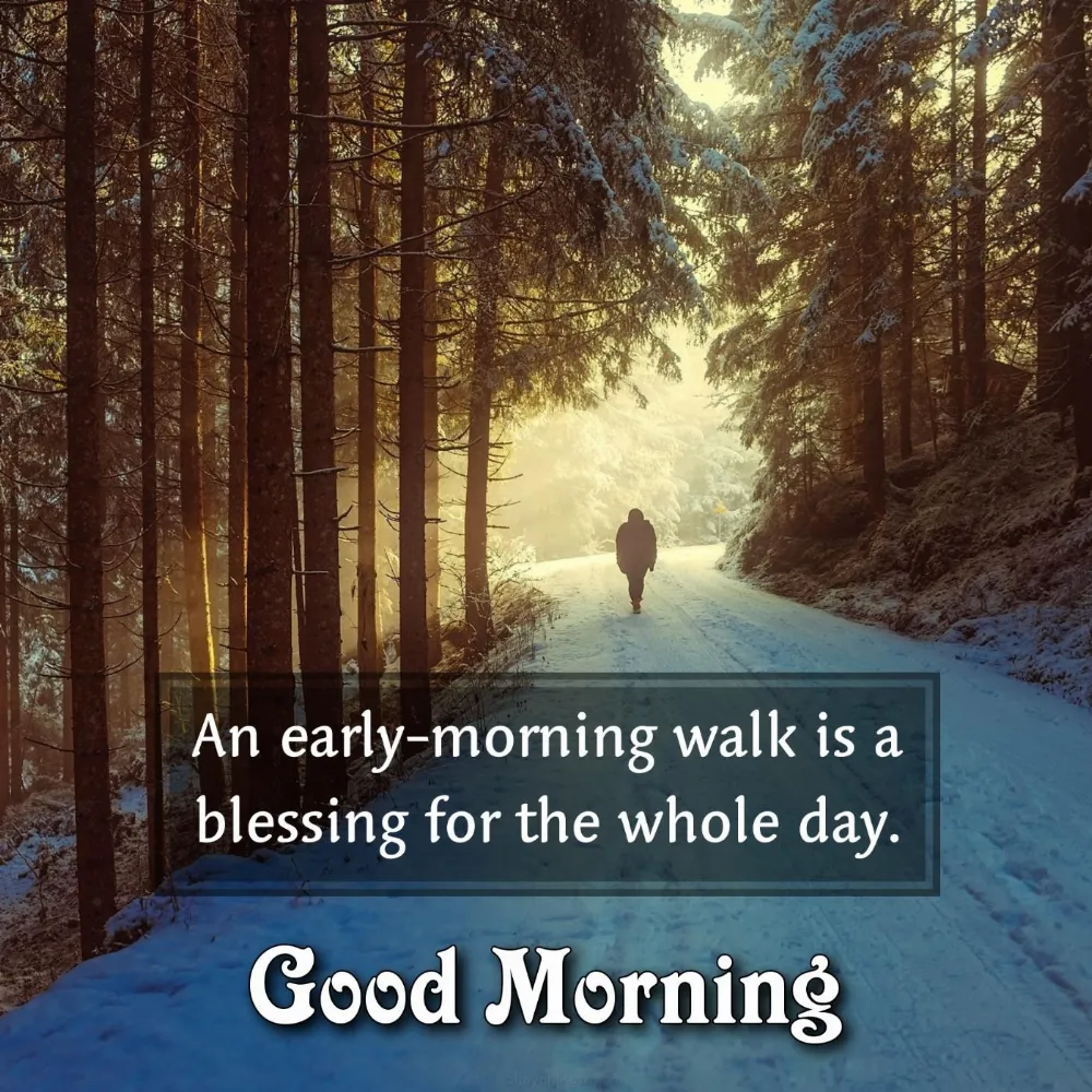 An early-morning walk is a blessing for the whole day