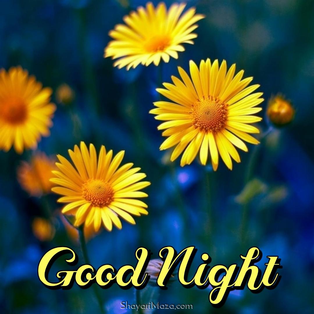 Good Night Flower Images