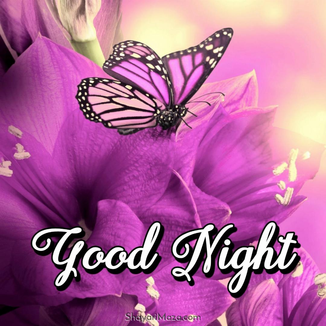 Good Night Flower Ki Image