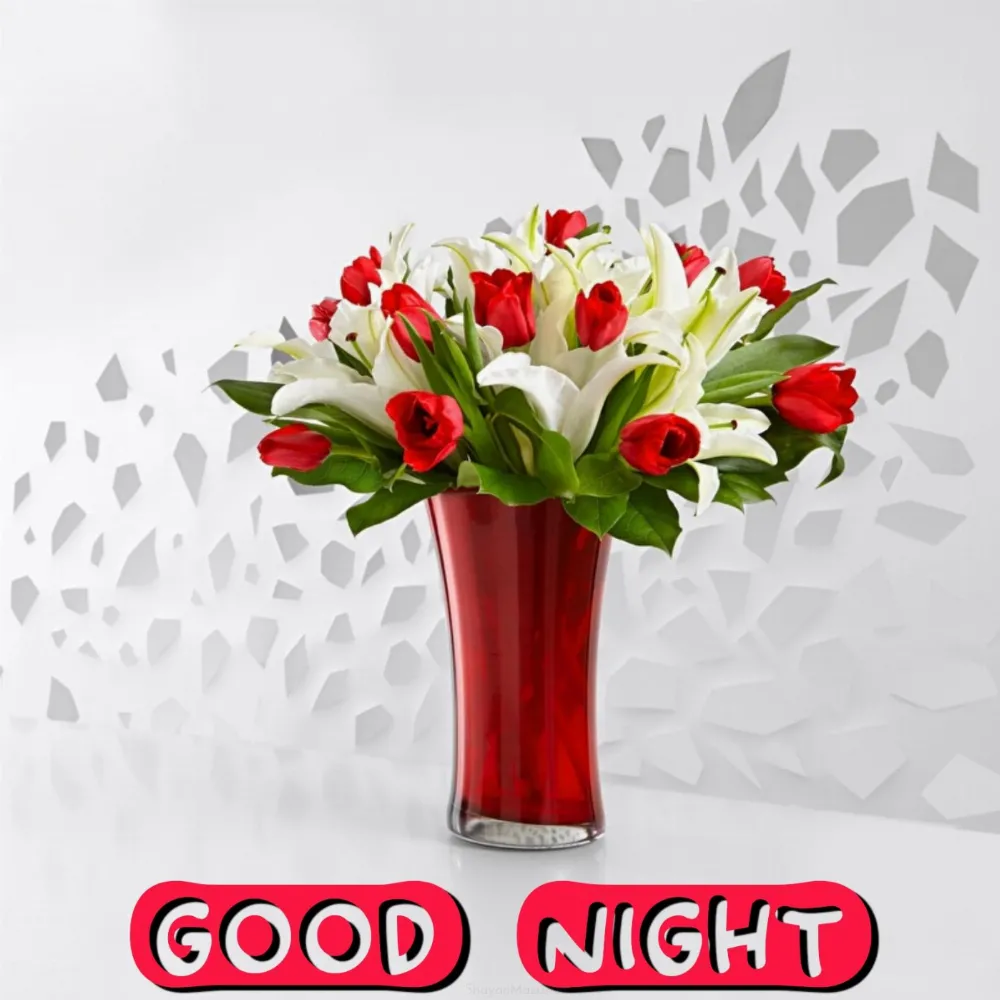 Good Night Flower Pot Images