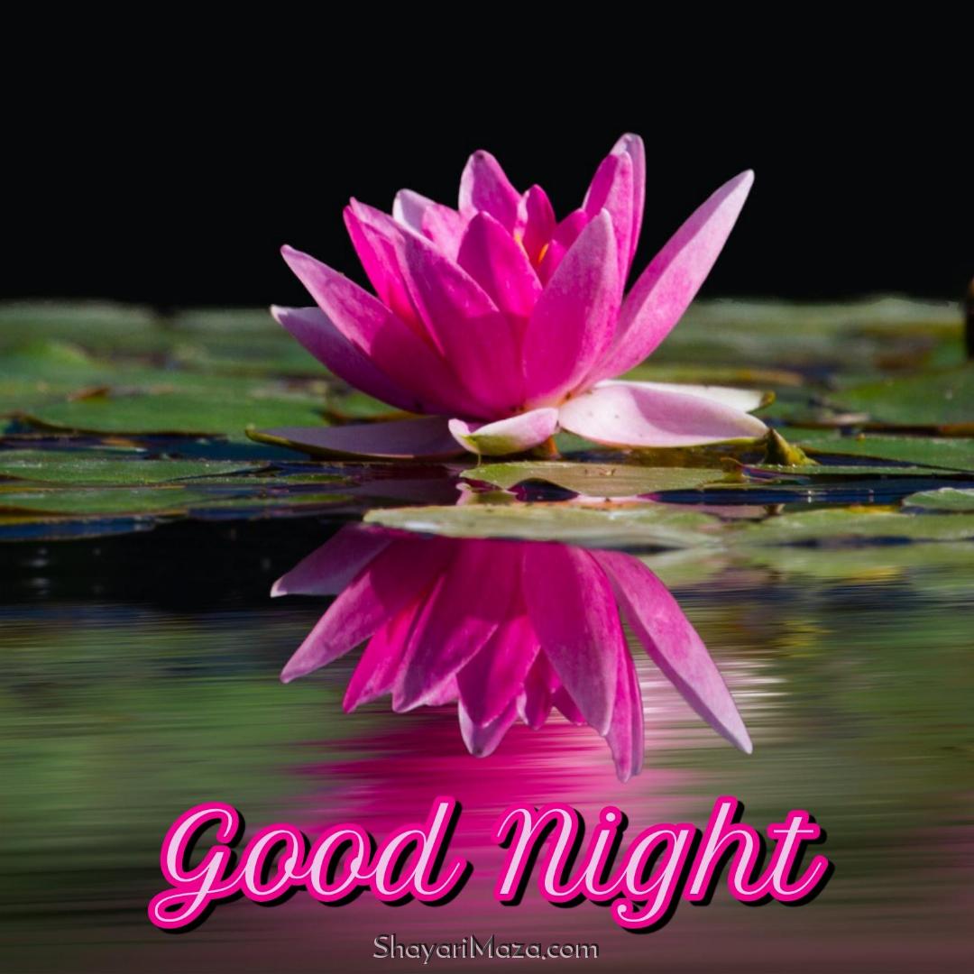 Good Night Kamal Ka Phool