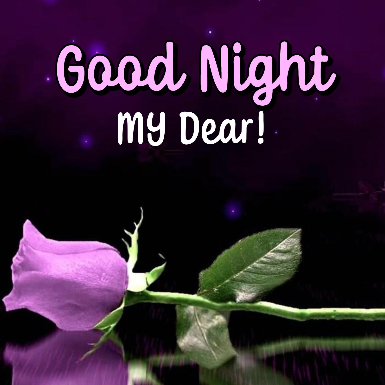 Good Night My Dear Rose Images
