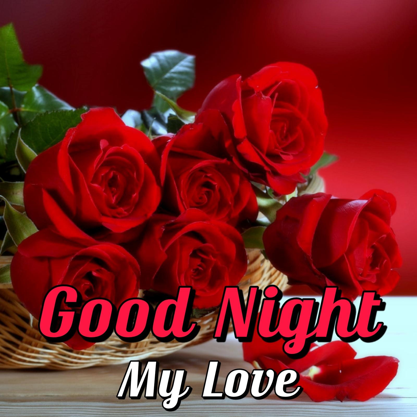 Good Night My Love Rose Image - ShayariMaza