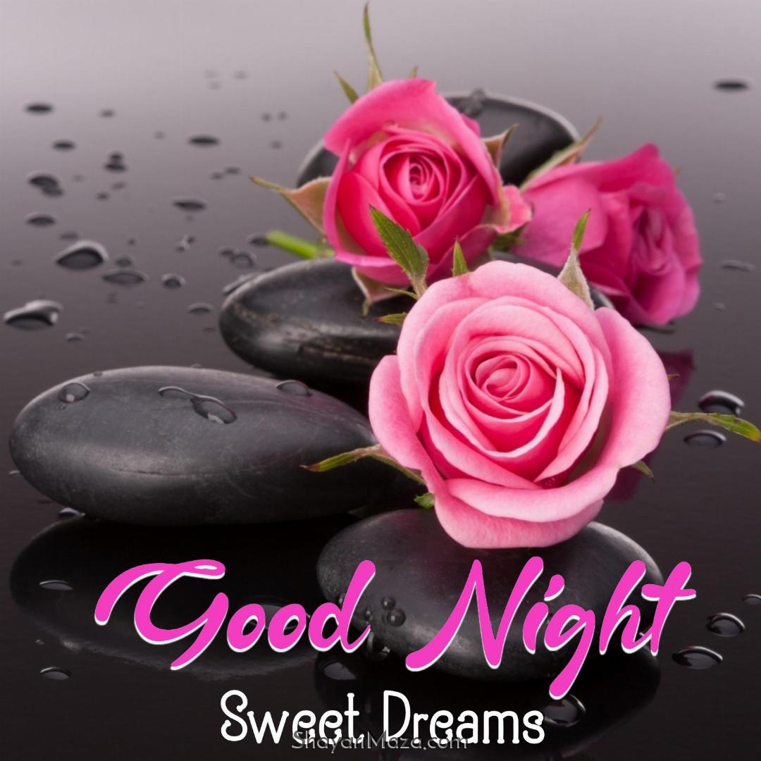 Good Night Pink Rose Images