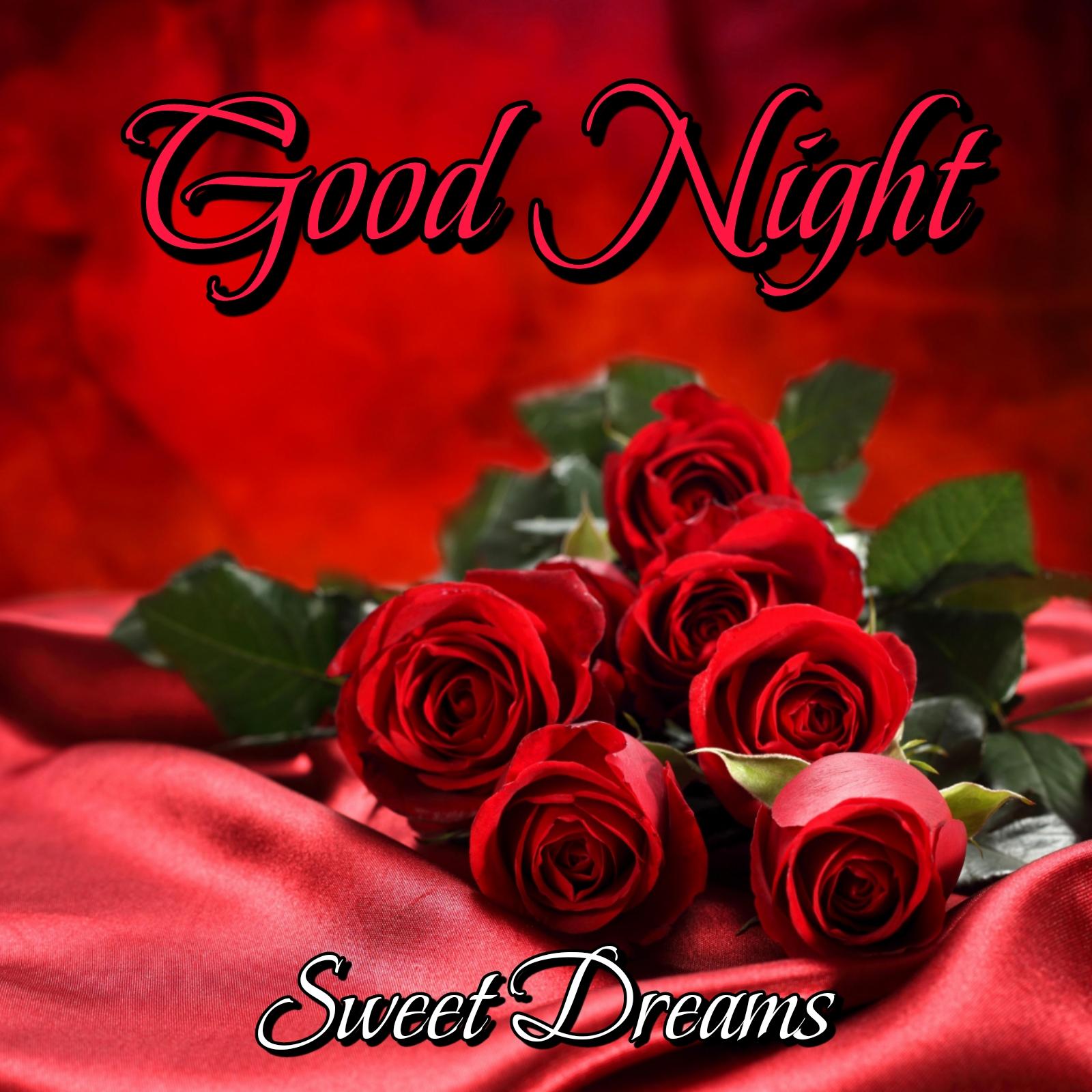 Good Night Red Rose Images - ShayariMaza
