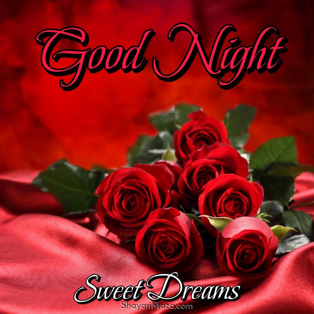 Good Night Red Rose Images