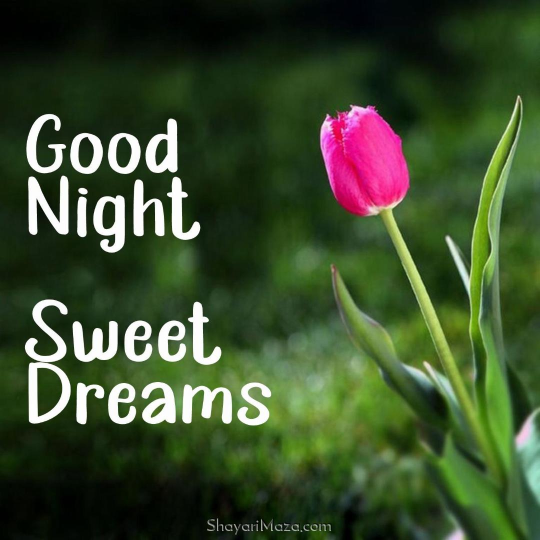 Good Night Sweet Dreams Flower Images