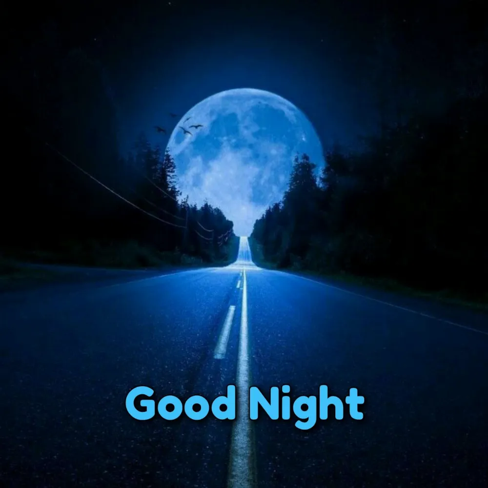 Beautiful Good Night Pics Download