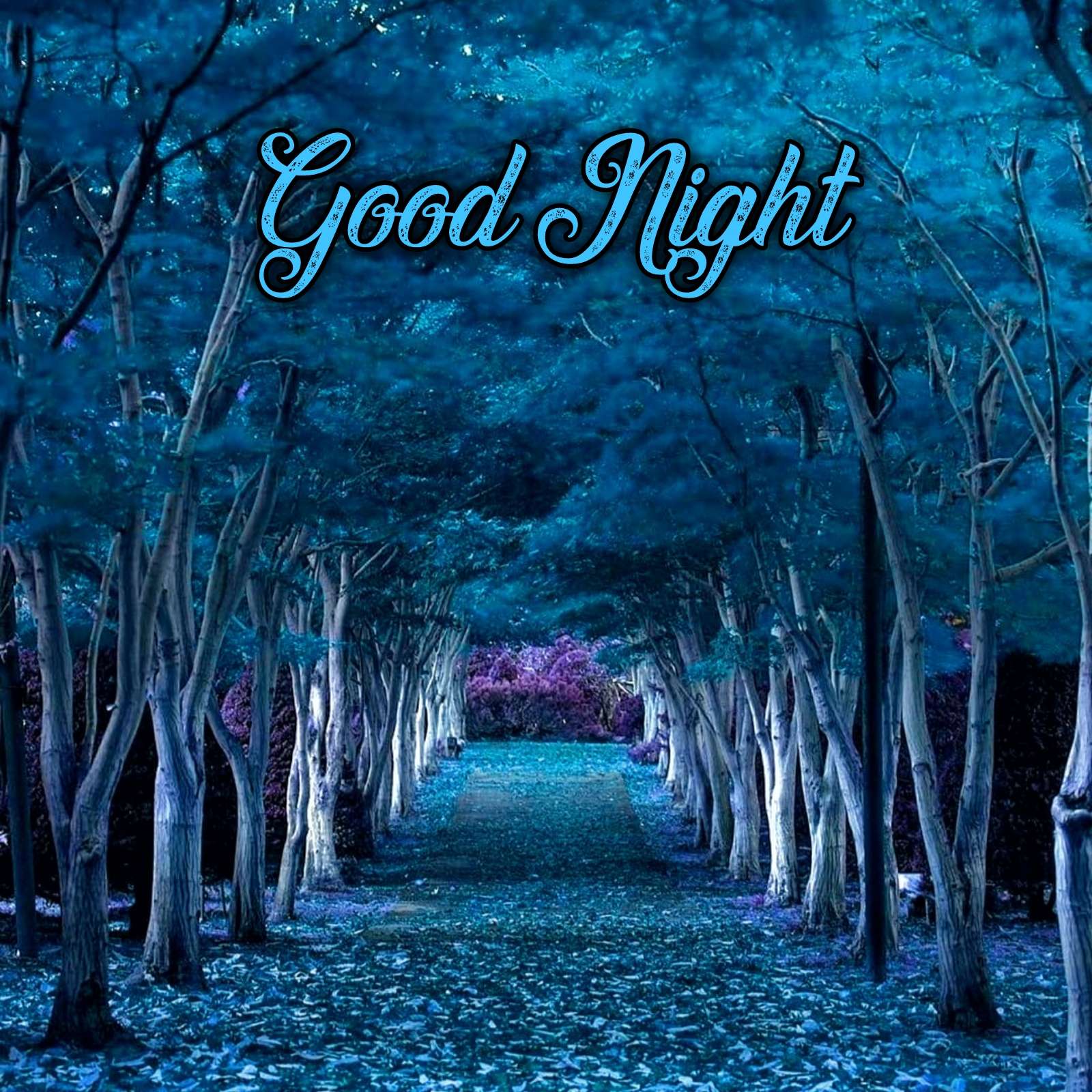 Good Night Images Download - ShayariMaza