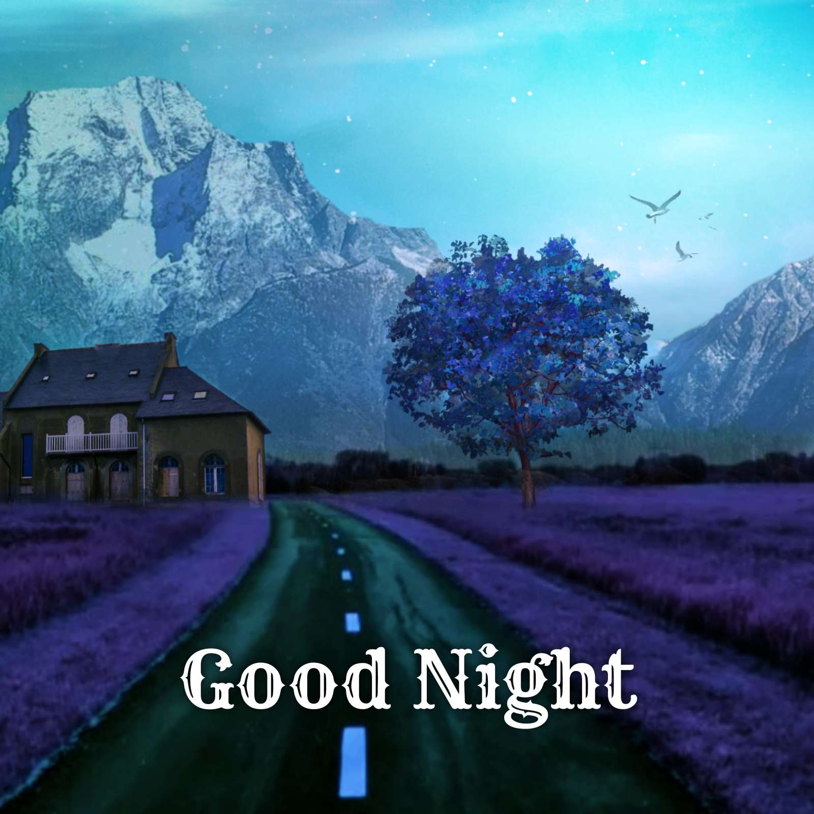 Good Night Ki Images Download