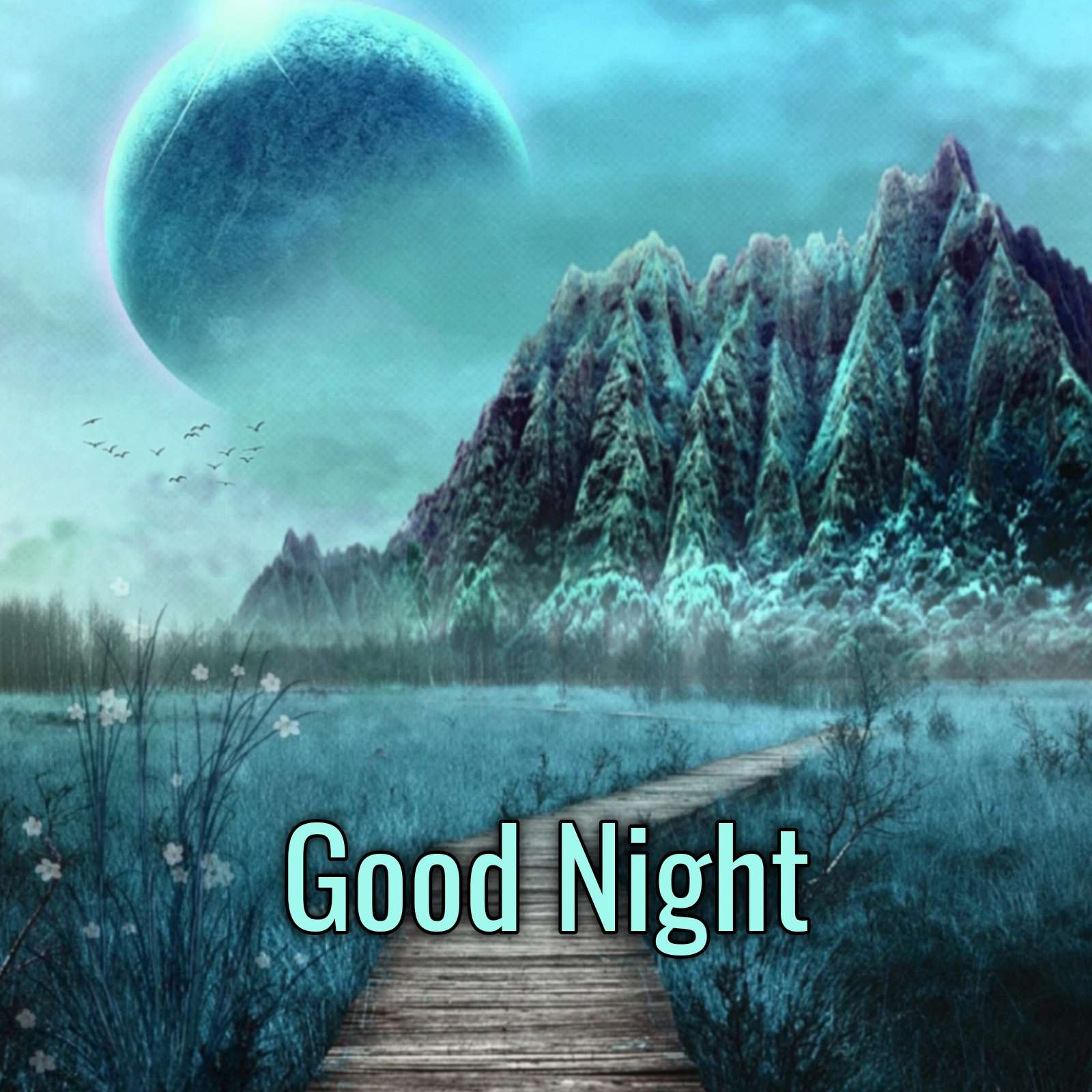 Beautiful Good Night Images Download - ShayariMaza