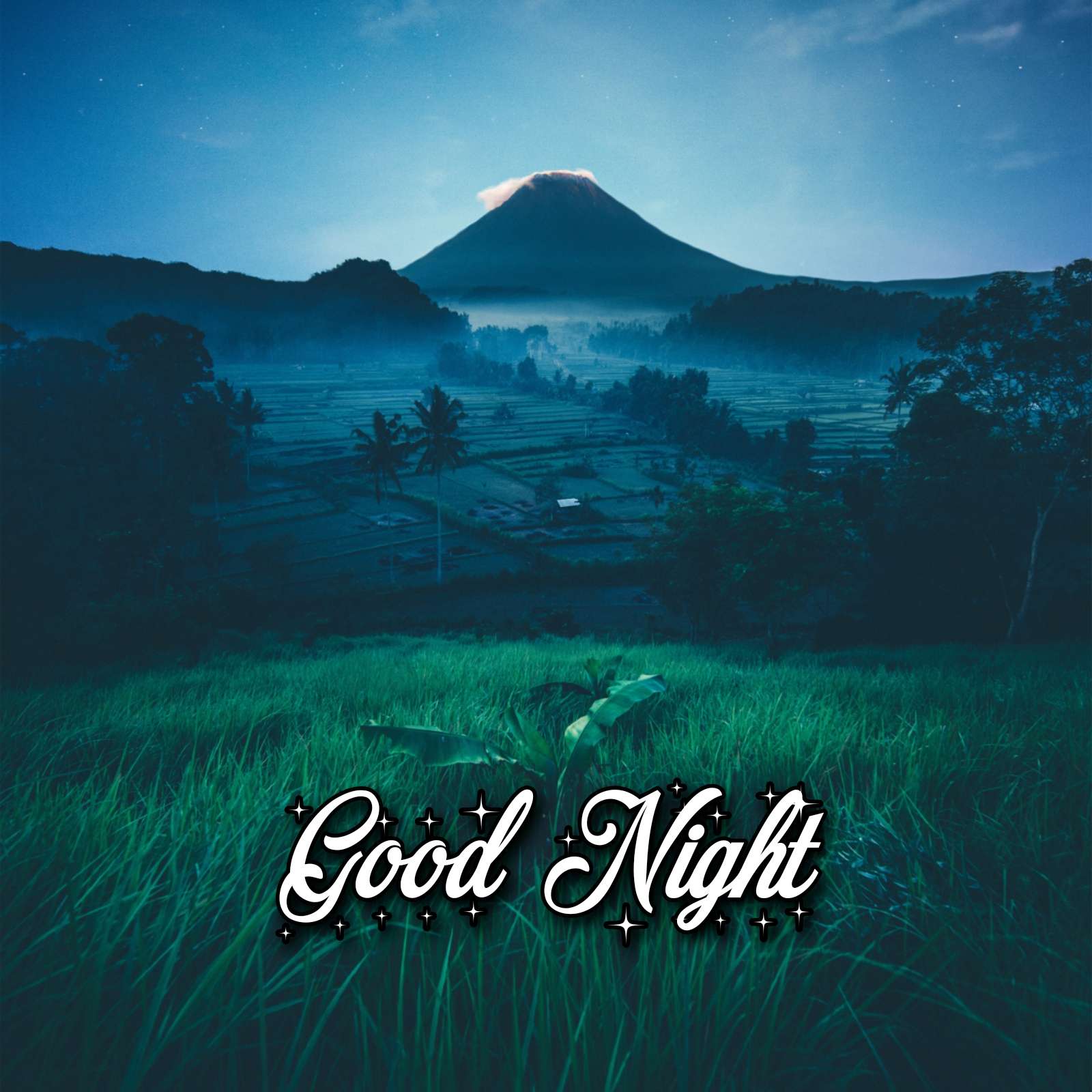 Special Good Night Images Download