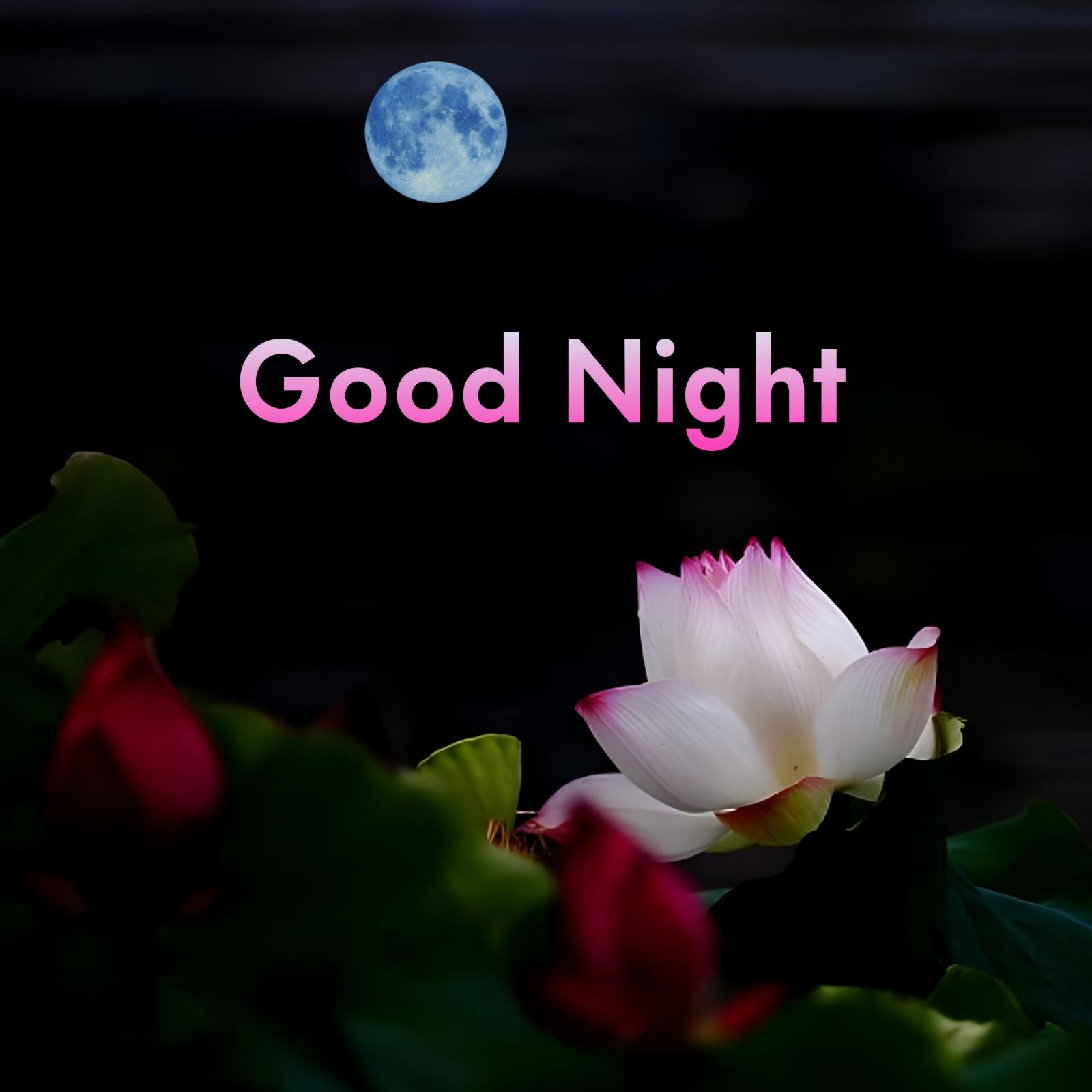 Beautiful Good Night Moon Images