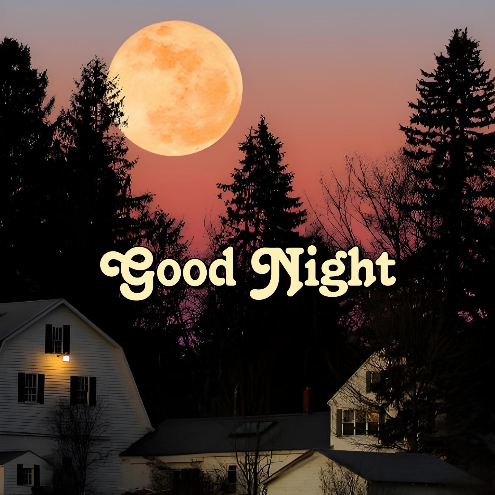 Good Night Full Moon Images