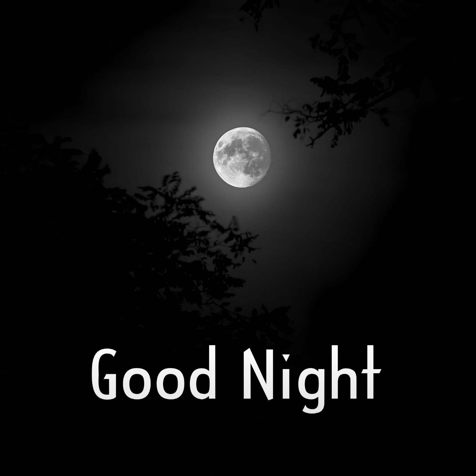 Good Night Images Moon