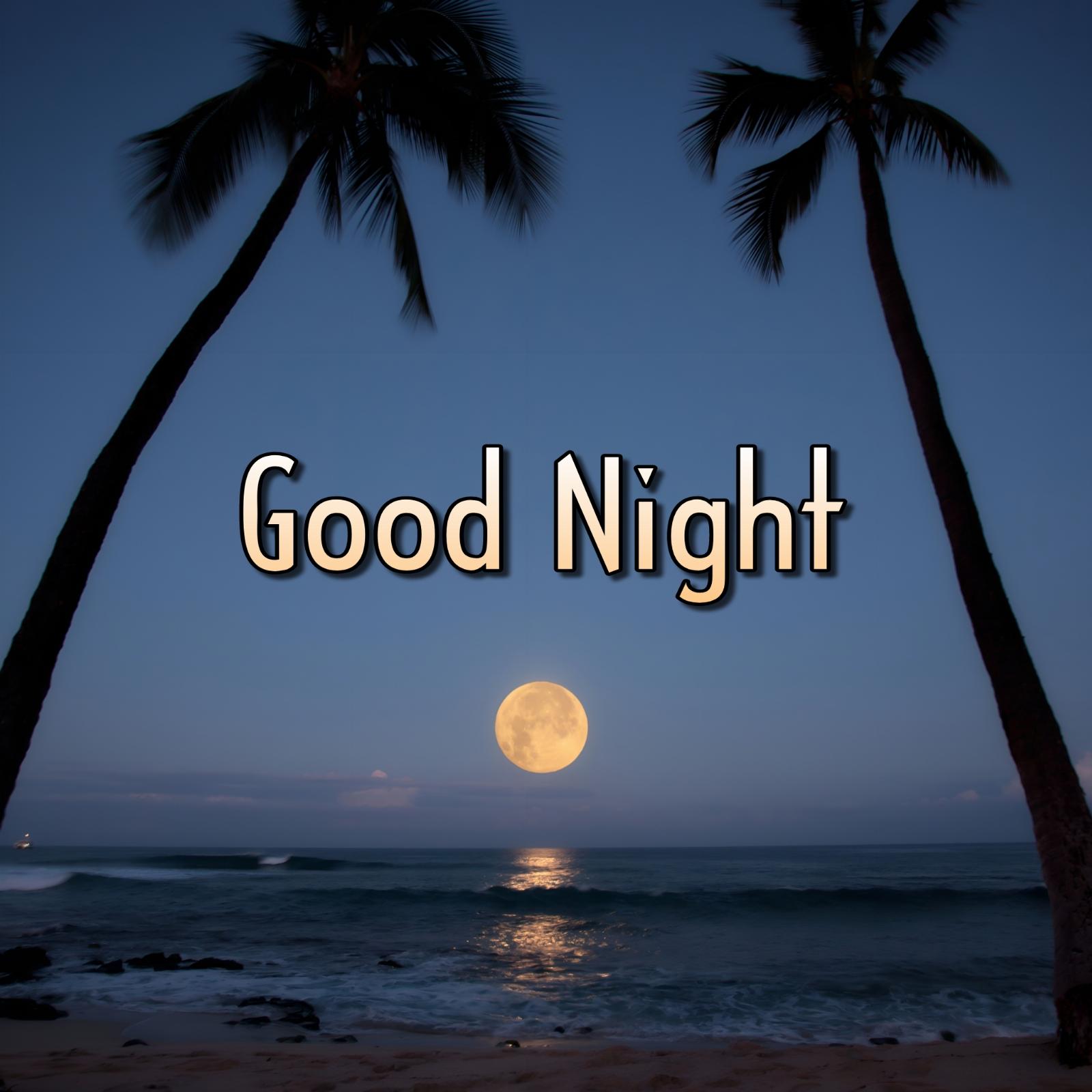 Good Night Moon Coconut Tree Sea Images