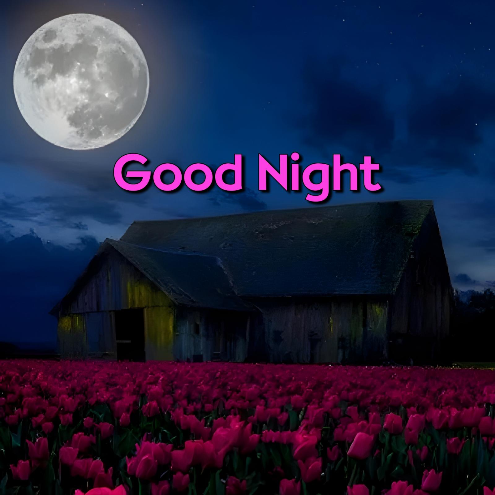 Good Night Moon Flower Garden Images