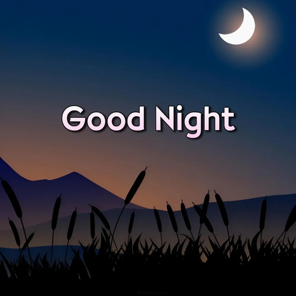 Good Night Moon Images