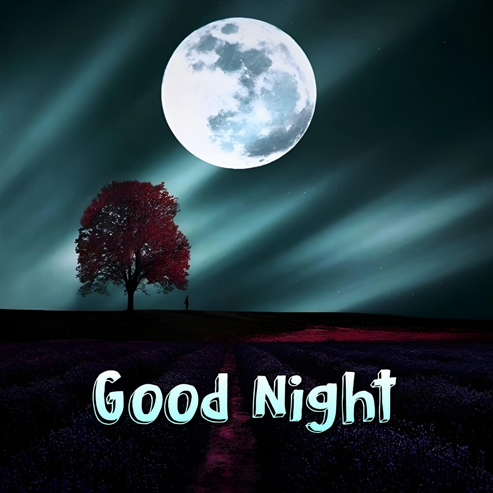 Good Night Moon Light Images