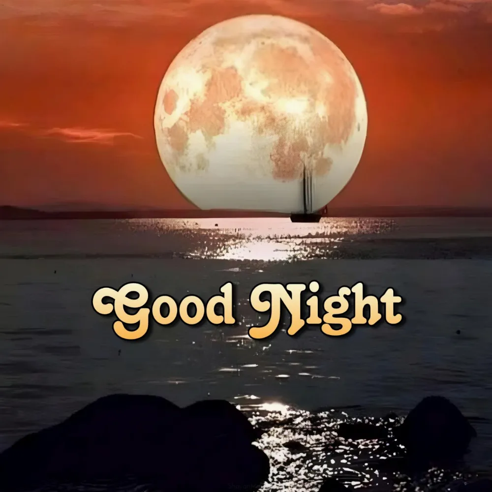 Good Night Moon Light Sea Images