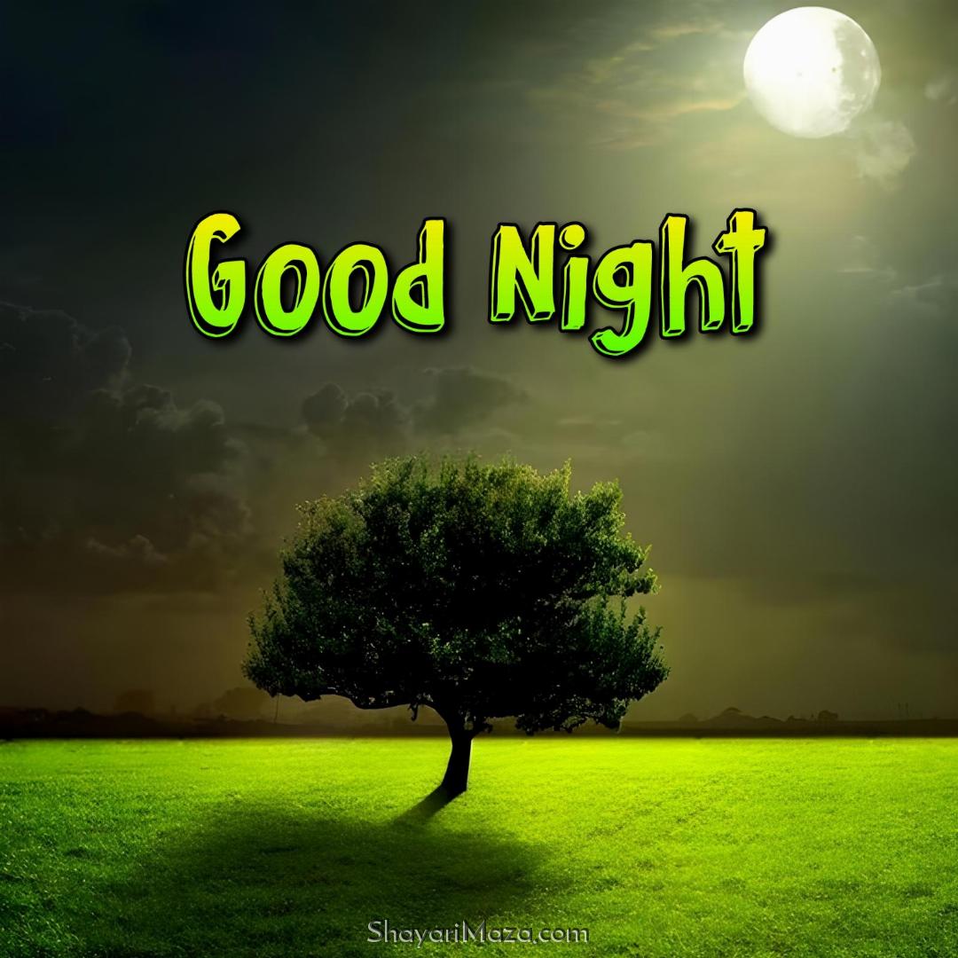 Good Night Moon Tree Images