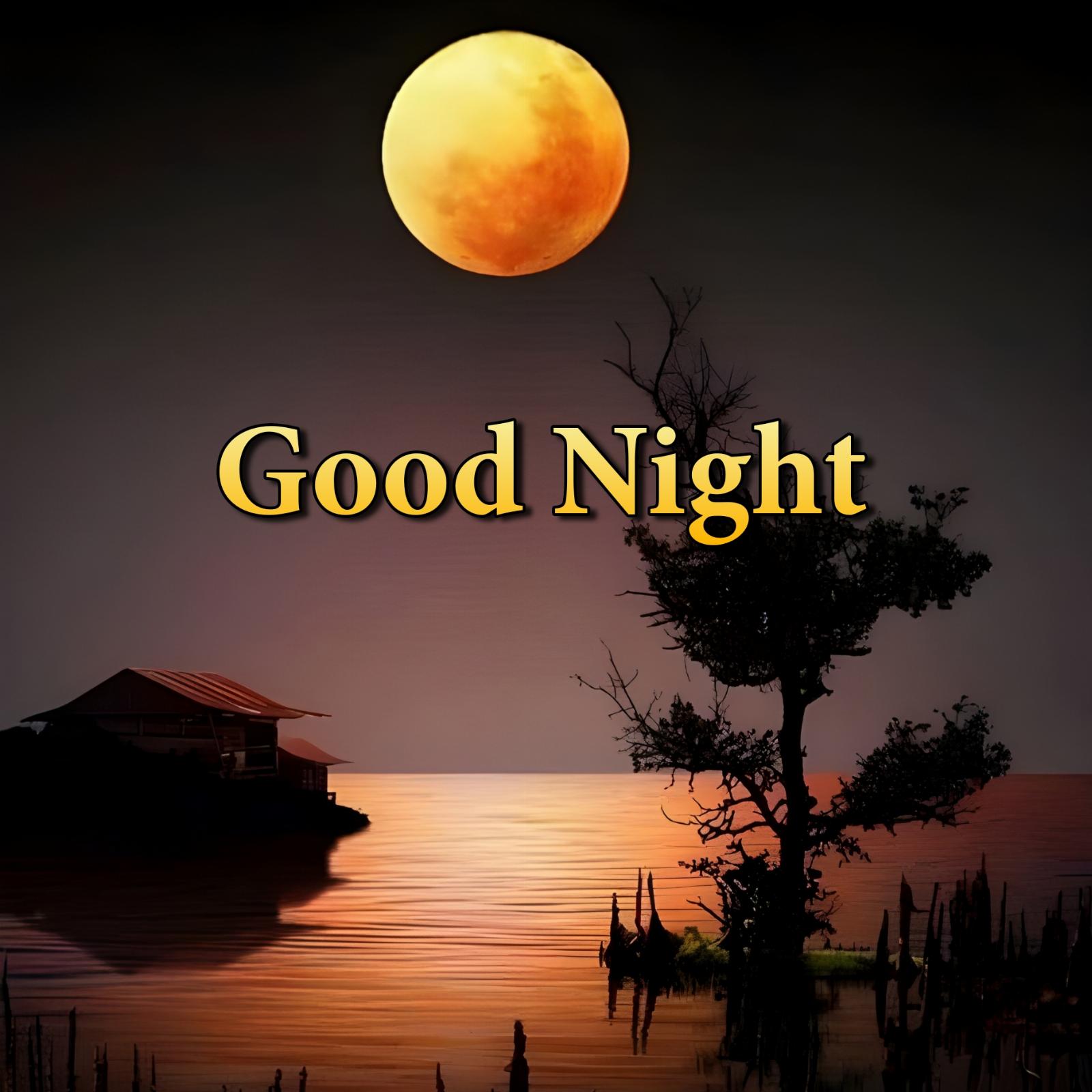 Good Night With Moon Image