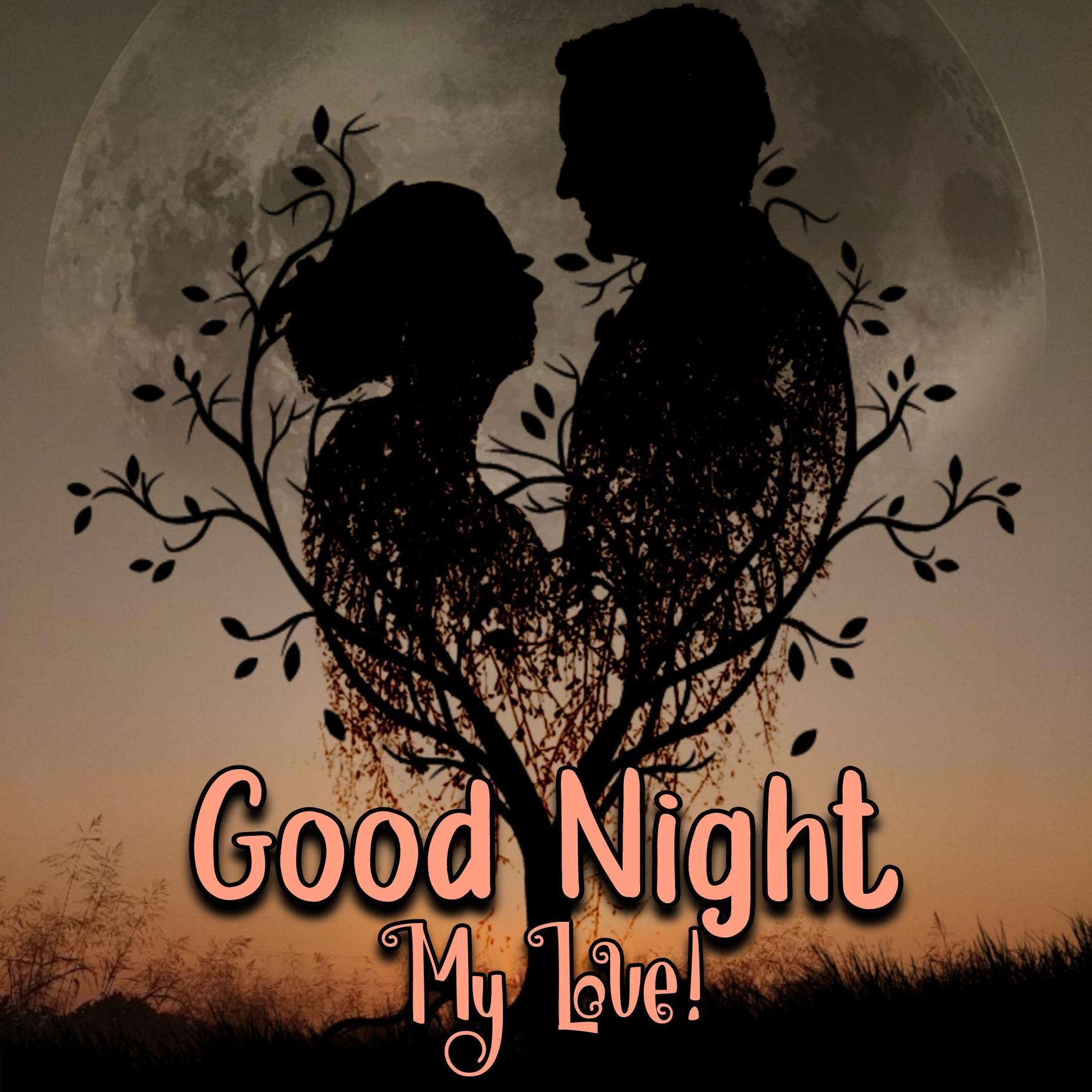 Good Night Romantic Couple Pictures - ShayariMaza