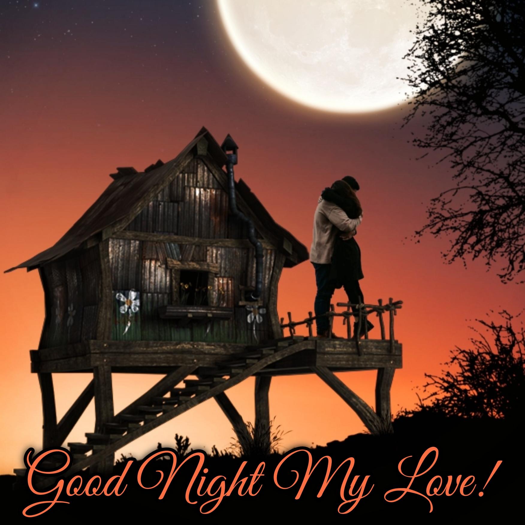 Love Romantic Good Night Images