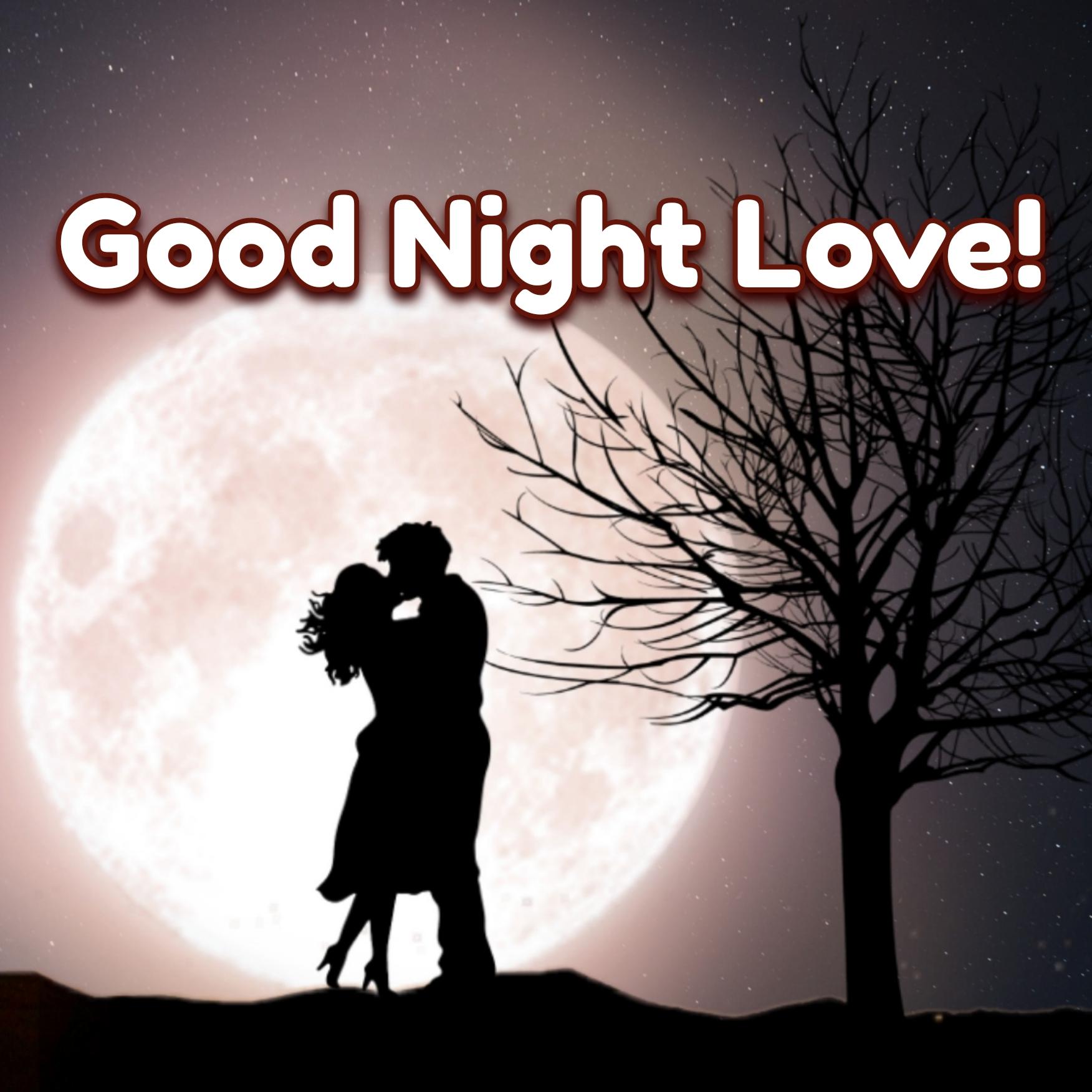 Good Night Romantic Couple Pic - ShayariMaza
