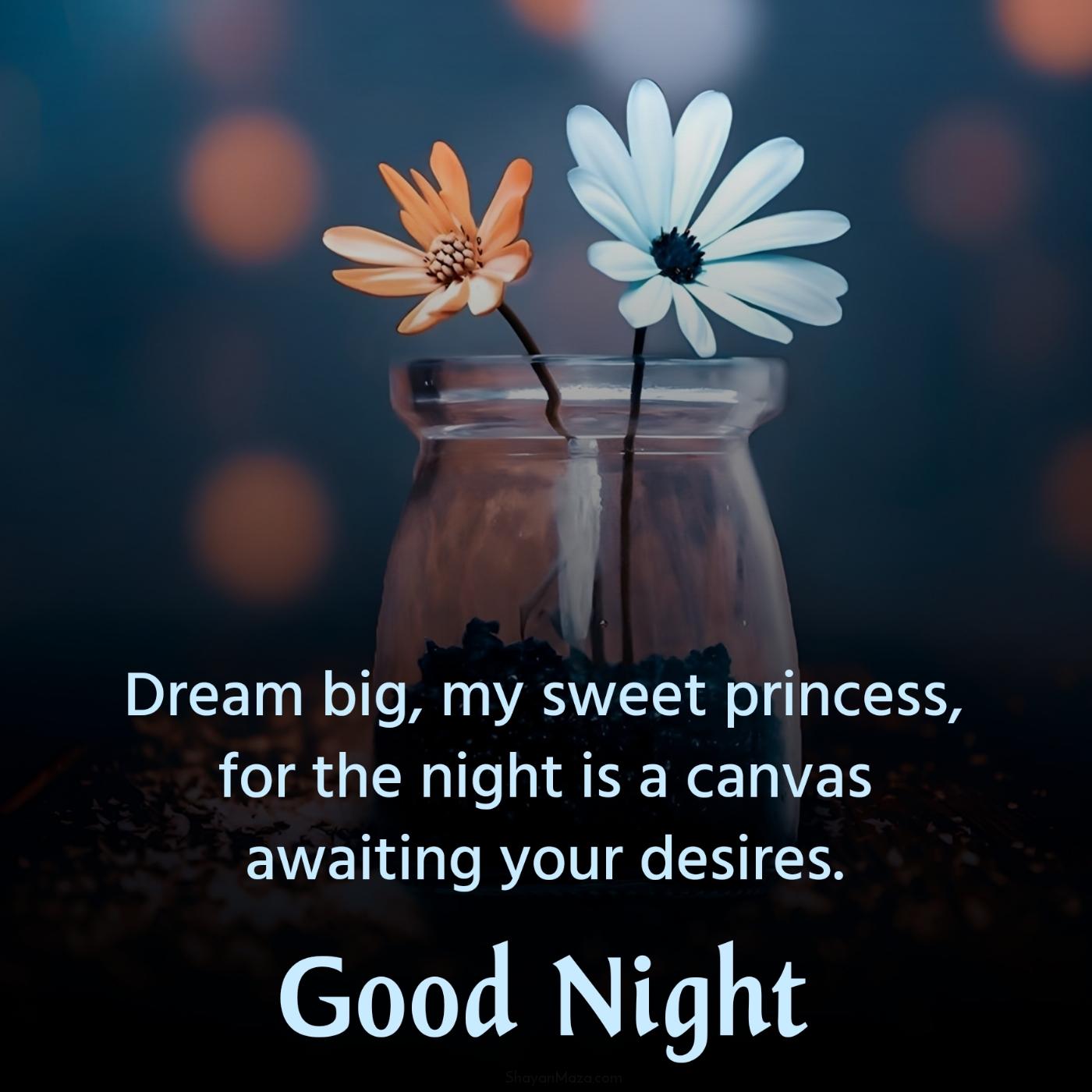 Dream big my sweet princess for the night is a canvas