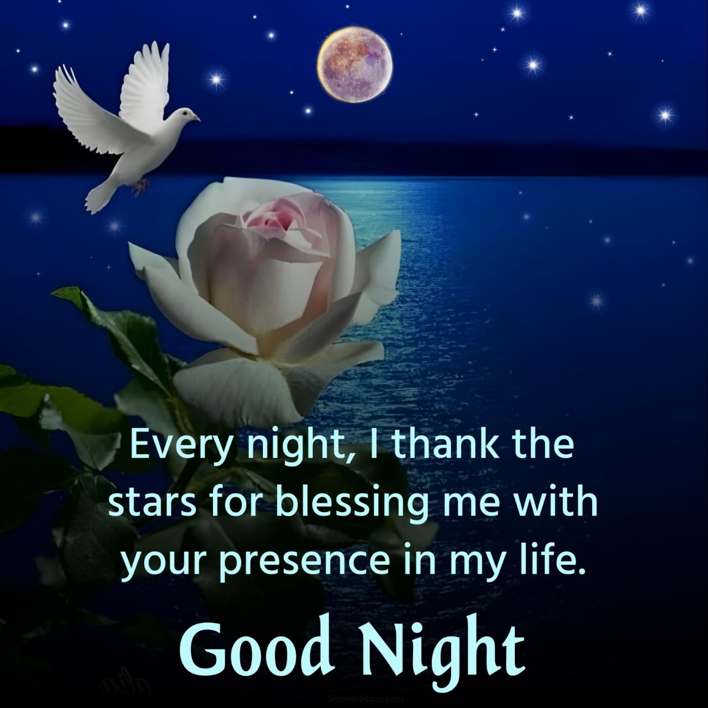 Every night I thank the stars for blessing me with your presence