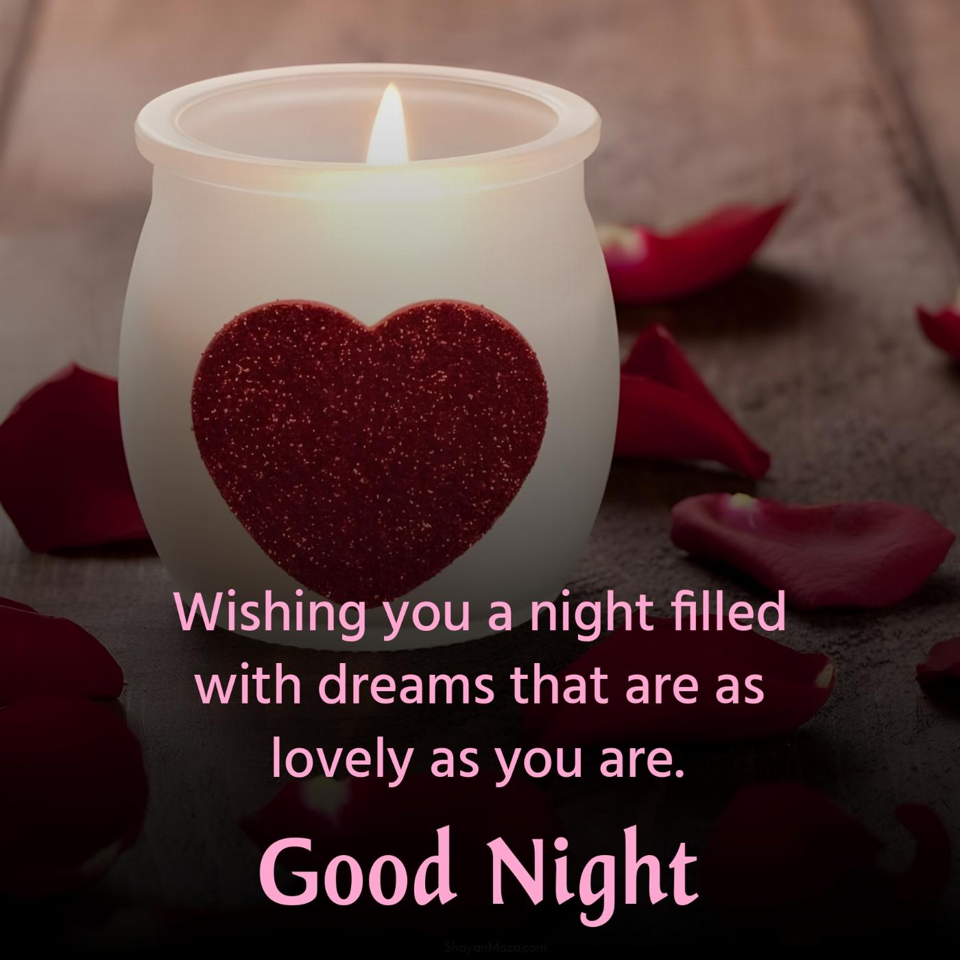 Wishing you a night filled with dreams that are as lovely as you